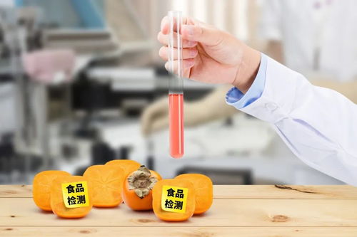 史上最嚴《四川省中小學校食品安全管理辦法》正式實施，守護學生餐飲服務安全